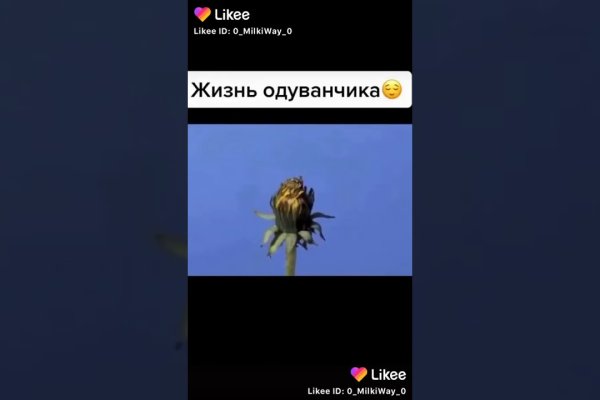 Ссылка omgomgomg рабочая